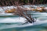 A serene river scene with smooth, flowing water weaving around rocks and slender, leafless branches emerging from the water. The movement of the water creates streaks that contrast with the stillness of the rocks and branches, giving a dynamic yet peaceful feeling.