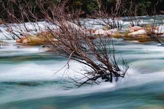 A calm river flowing steadily around rocks, illustrating smooth and stable workflow processes.