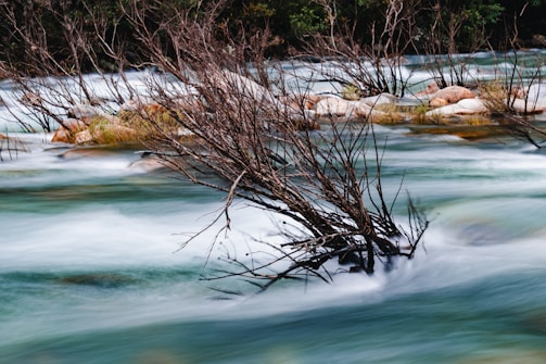 A serene river scene with smooth, flowing water weaving around rocks and slender, leafless branches emerging from the water. The movement of the water creates streaks that contrast with the stillness of the rocks and branches, giving a dynamic yet peaceful feeling.