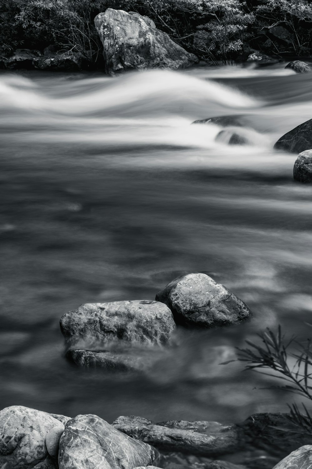 Una foto en blanco y negro de un río