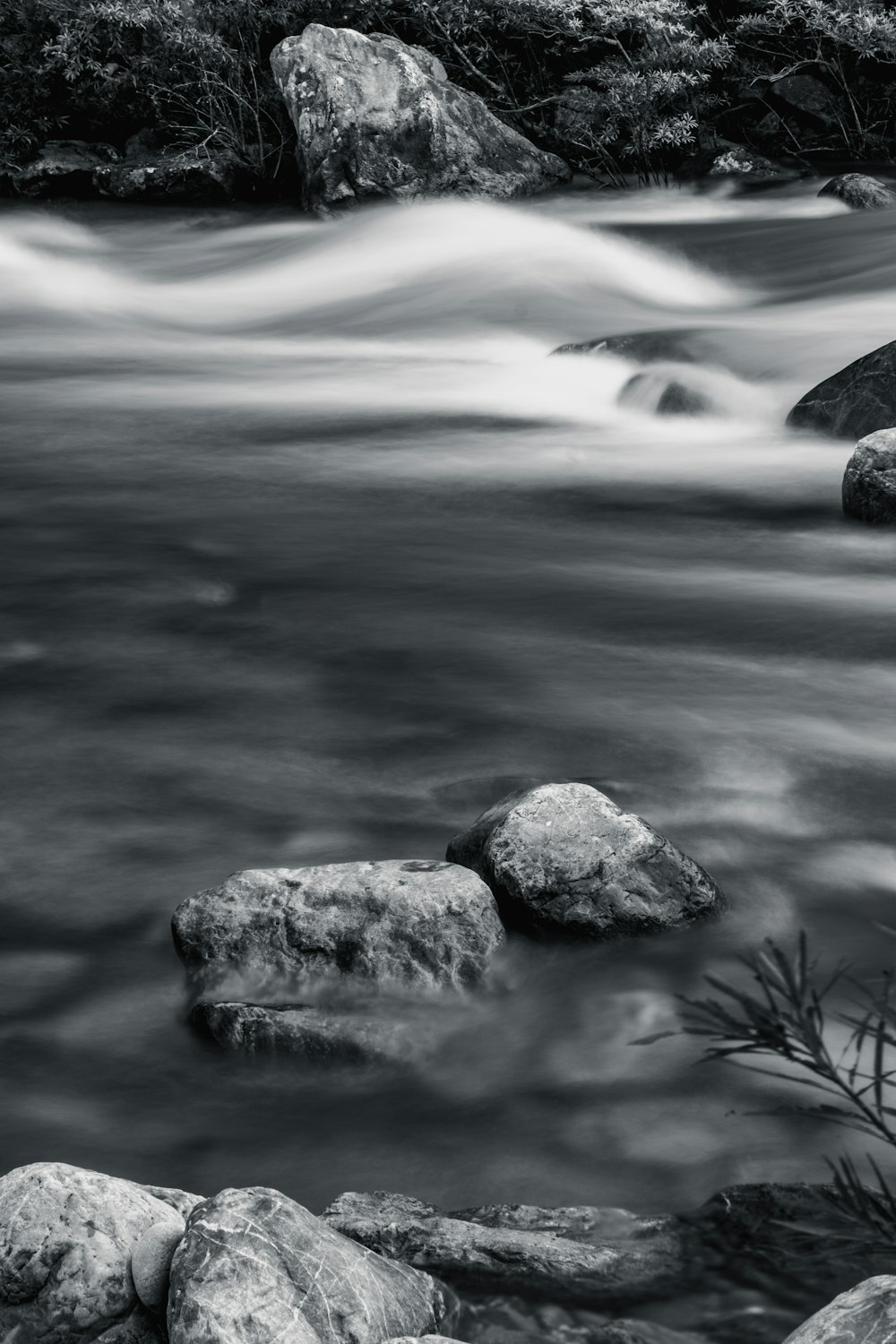 a black and white photo of a river