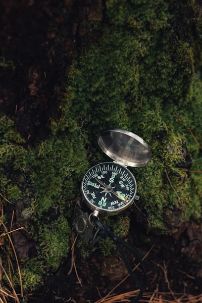 a compass sitting on top of a moss covered ground