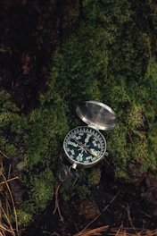 a compass sitting on top of a moss covered ground