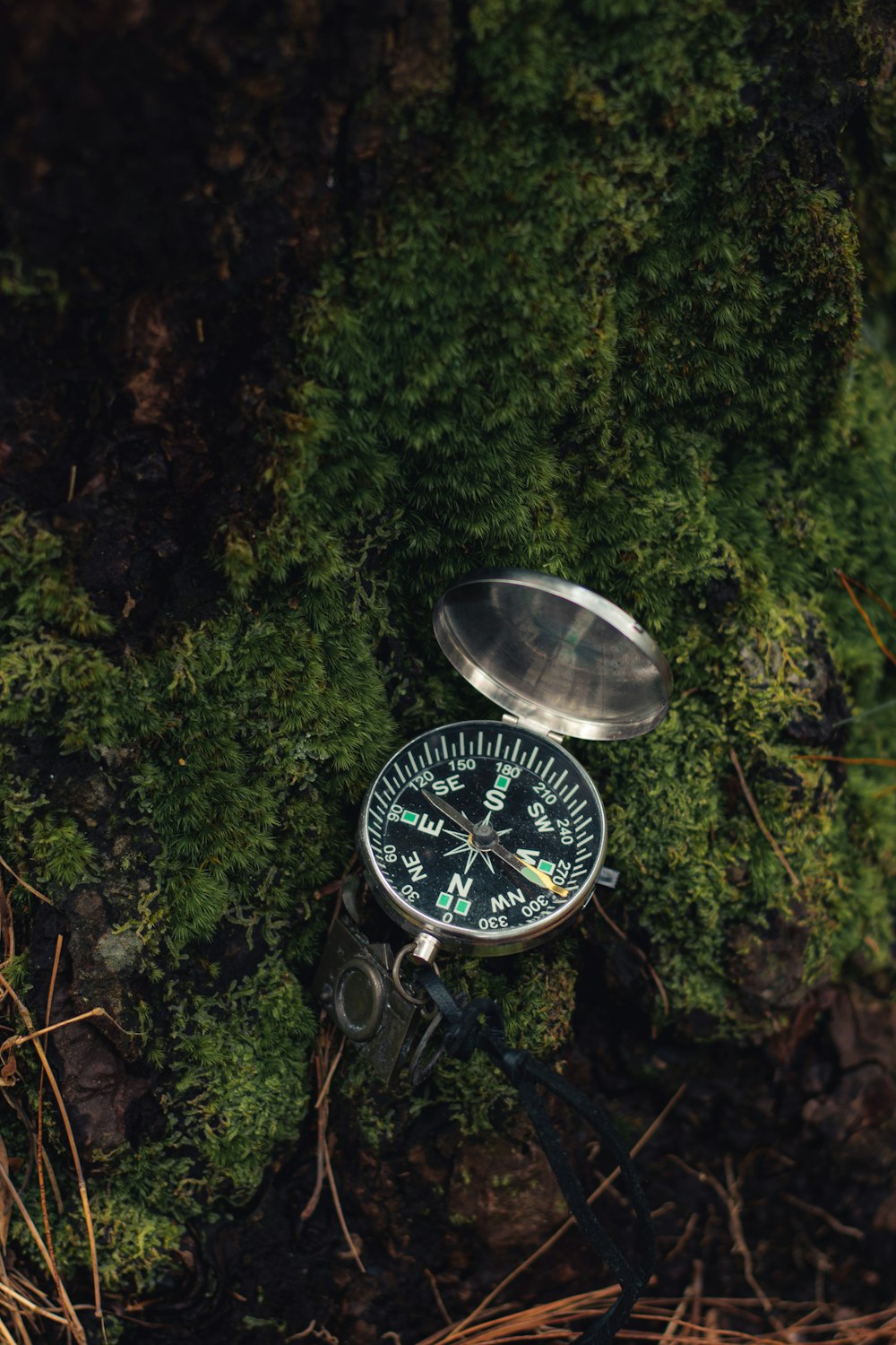 a compass sitting on top of a moss covered ground