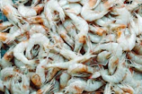 Stacks of packaged shrimp head meal ready for export.