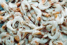 A large pile of raw shrimp with their shells and legs still intact, displaying a range of translucent white to pale pink colors. The shrimp are closely stacked together, creating an intricate texture with their long antennae and outer shells visible.