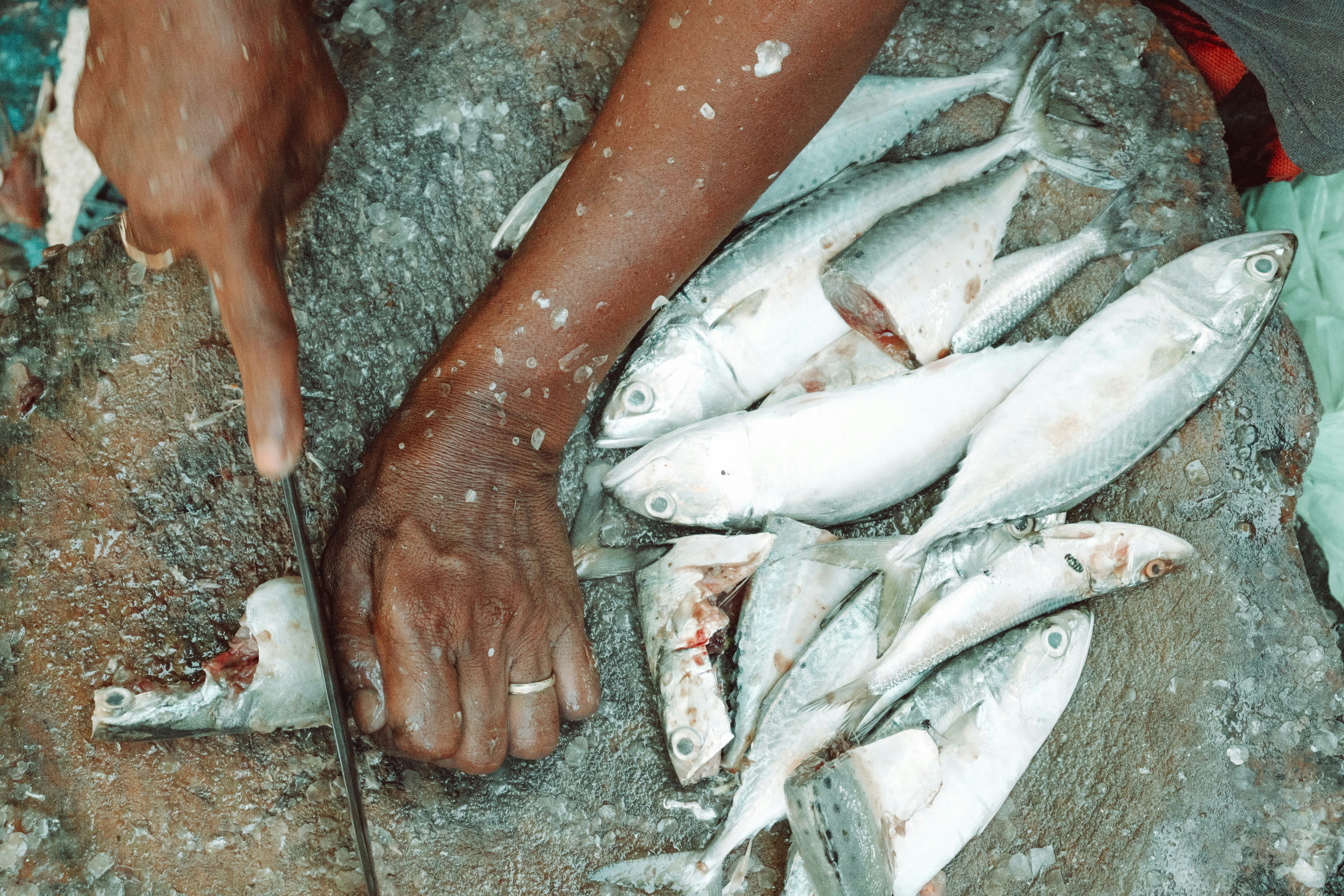 Cleaning Fish Food Residues and Tank Maintenance Guide
