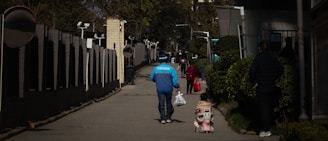 A delivery person carrying packages.