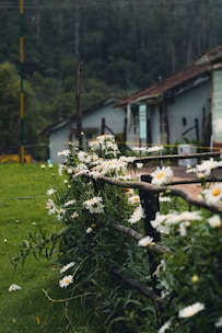 A rustic parcel with wildflowers and a wooden fence, set against a backdrop of rolling hills.