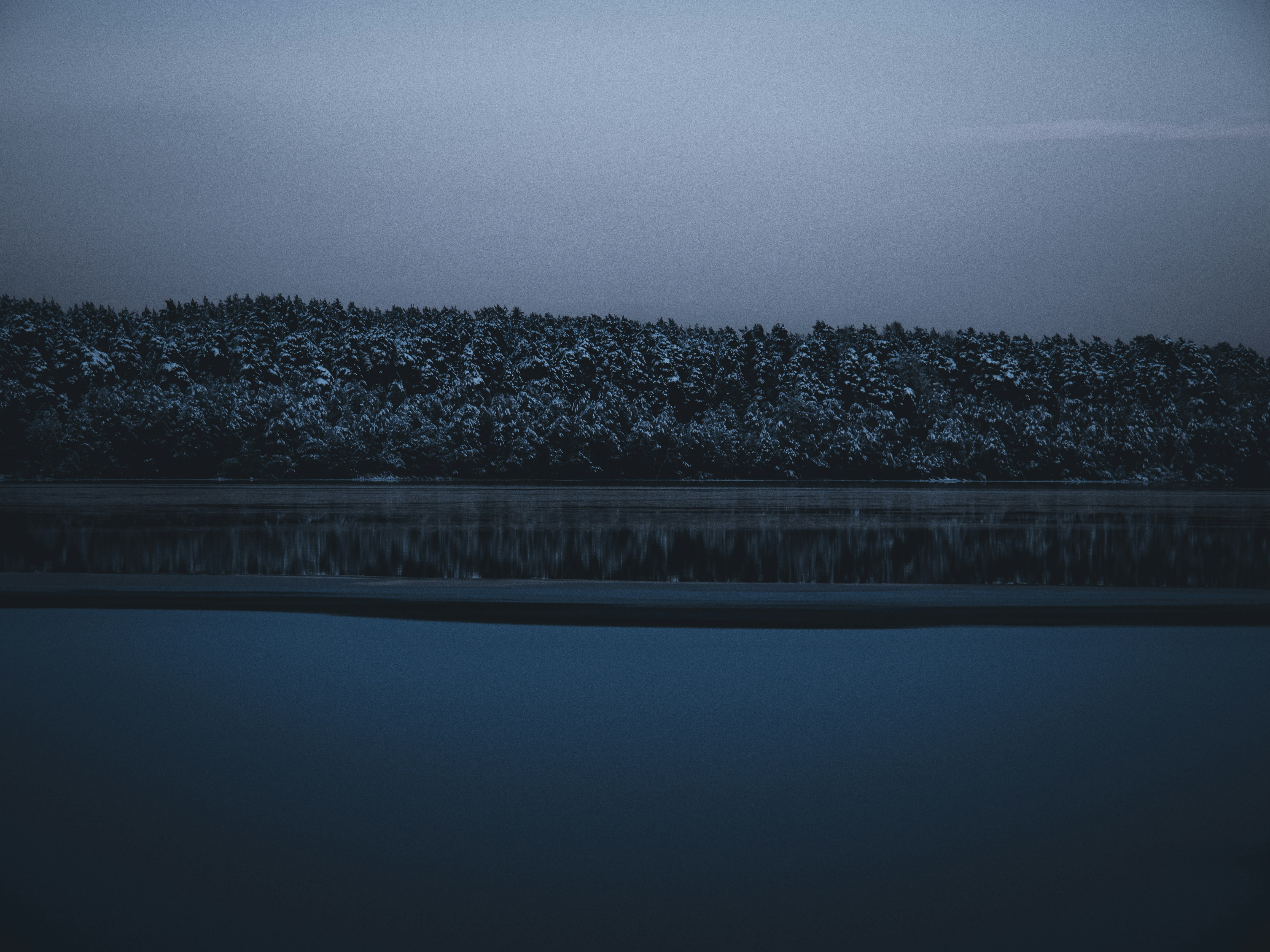 a body of water with trees in the background