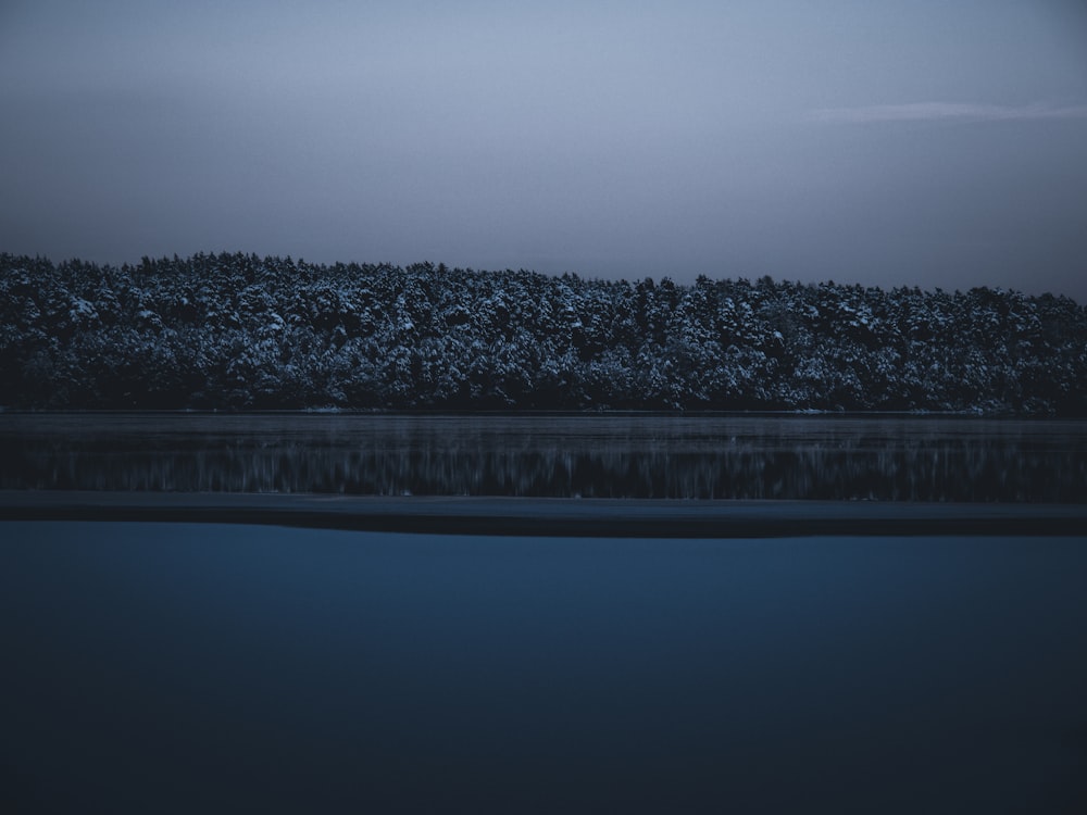 a body of water with trees in the background