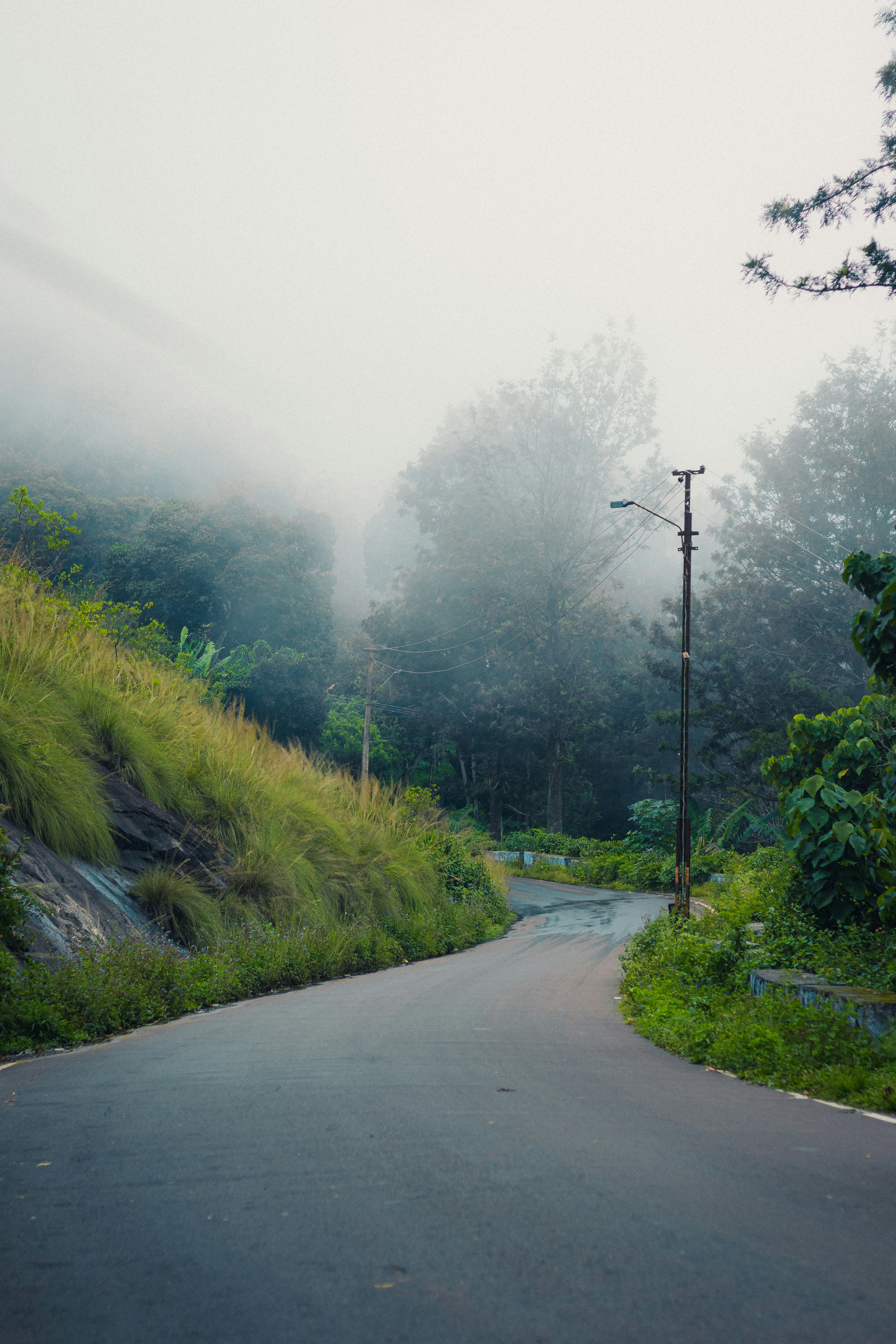 Photo by dhilipantony