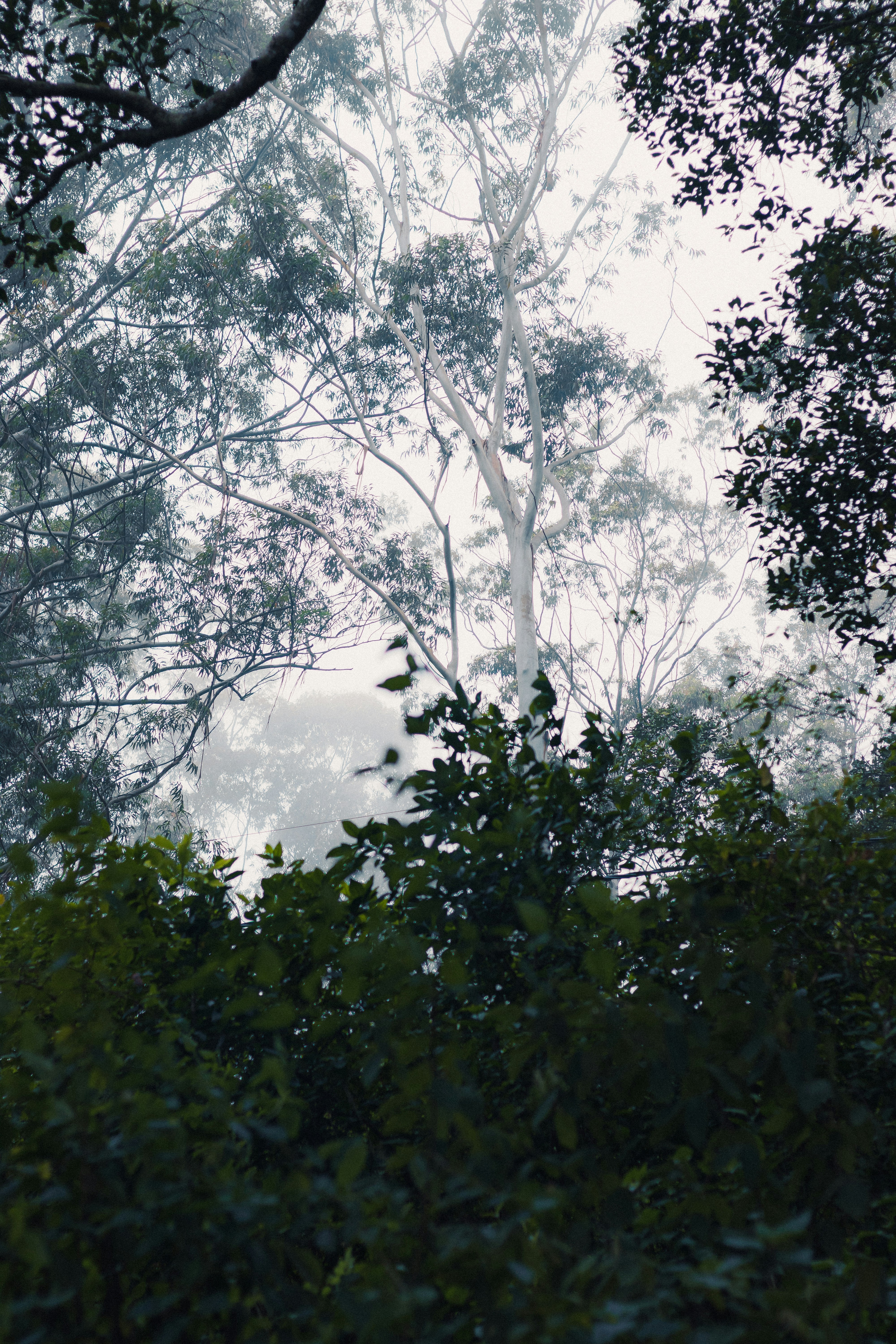 Photo by dhilipantony