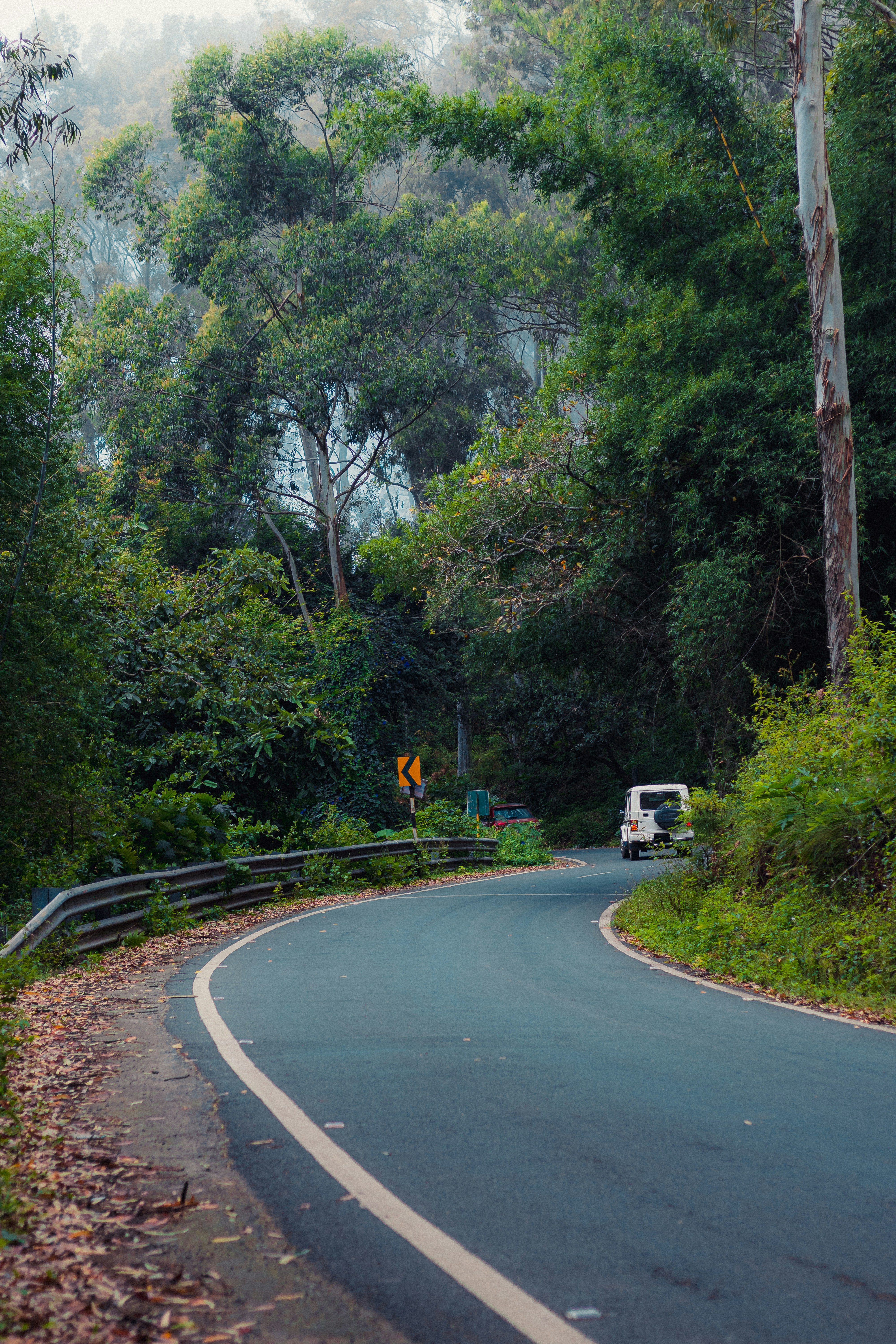 Photo by dhilipantony