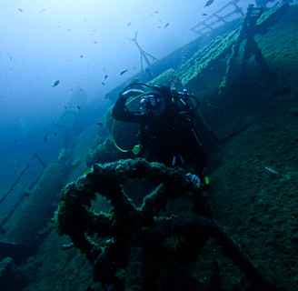 A scuba diver explores an underwater shipwreck surrounded by marine life. The scene is illuminated by blue and green hues, with small fish swimming around. The diver's suit and gear are clearly visible amidst the decaying structure of the wreck.