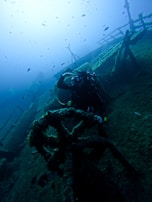 A scuba diver explores an underwater shipwreck surrounded by marine life. The scene is illuminated by blue and green hues, with small fish swimming around. The diver's suit and gear are clearly visible amidst the decaying structure of the wreck.