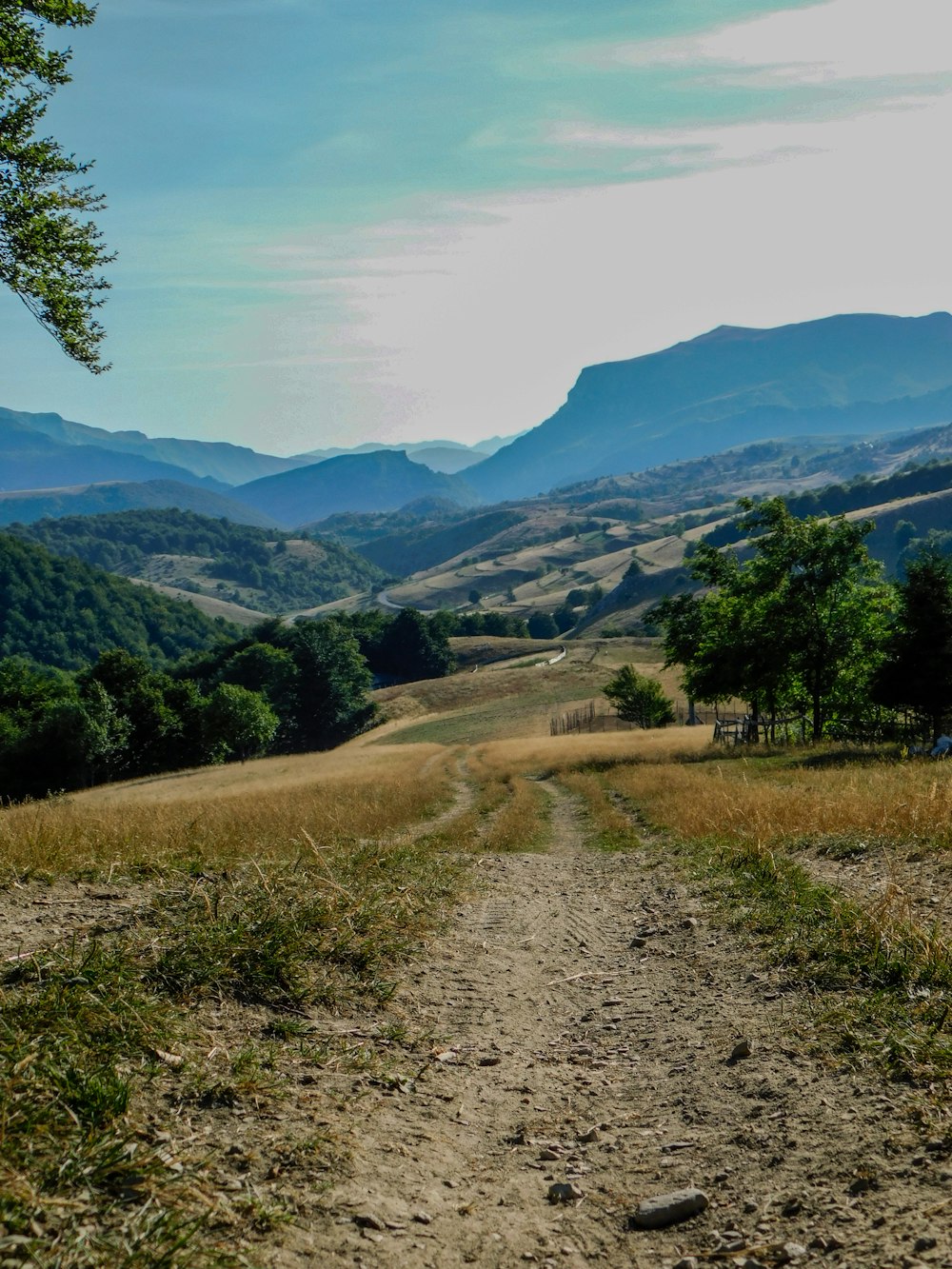 Una strada sterrata in mezzo a un campo con le montagne sullo sfondo