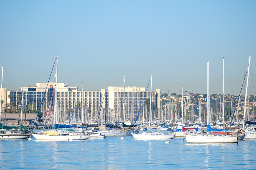 a harbor filled with lots of boats next to tall buildings