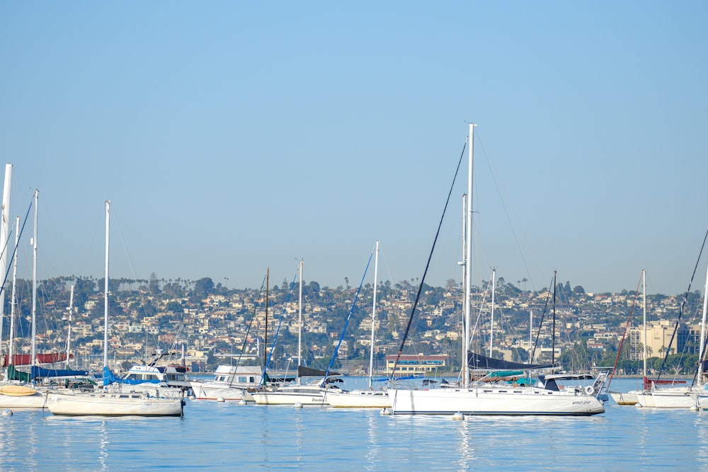 a group of sailboats floating on top of a body of water