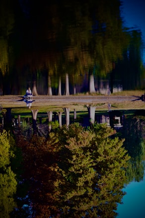 A reflection of a row of trees is visible on a body of calm water, creating an upside-down illusion. On the shoreline, two people can be seen sitting on a bench, and lush green grass surrounds the area. The image captures a natural and serene environment, with the clear sky blue and vivid foliage colors reflecting on the water surface.