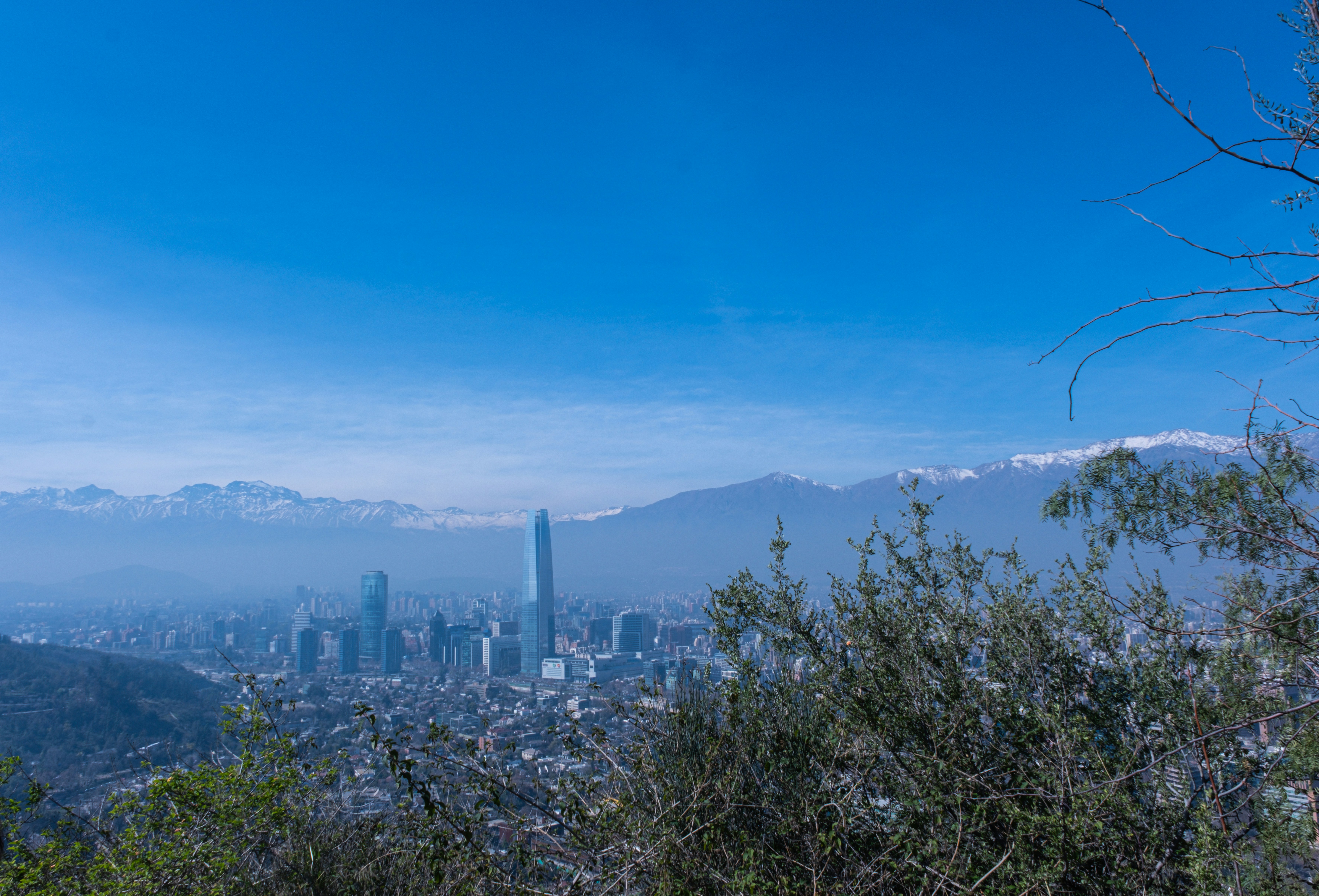 https://images.unsplash.com/photo-1700663769425-10a0960c7b8a?ixid=M3w2MjYzNjJ8MHwxfHNlYXJjaHw3fHxQb3J0aWxsbyUyN3N8ZW58MHwwfHx8MTczMzQzNDIxN3ww&ixlib=rb-4.0.3
