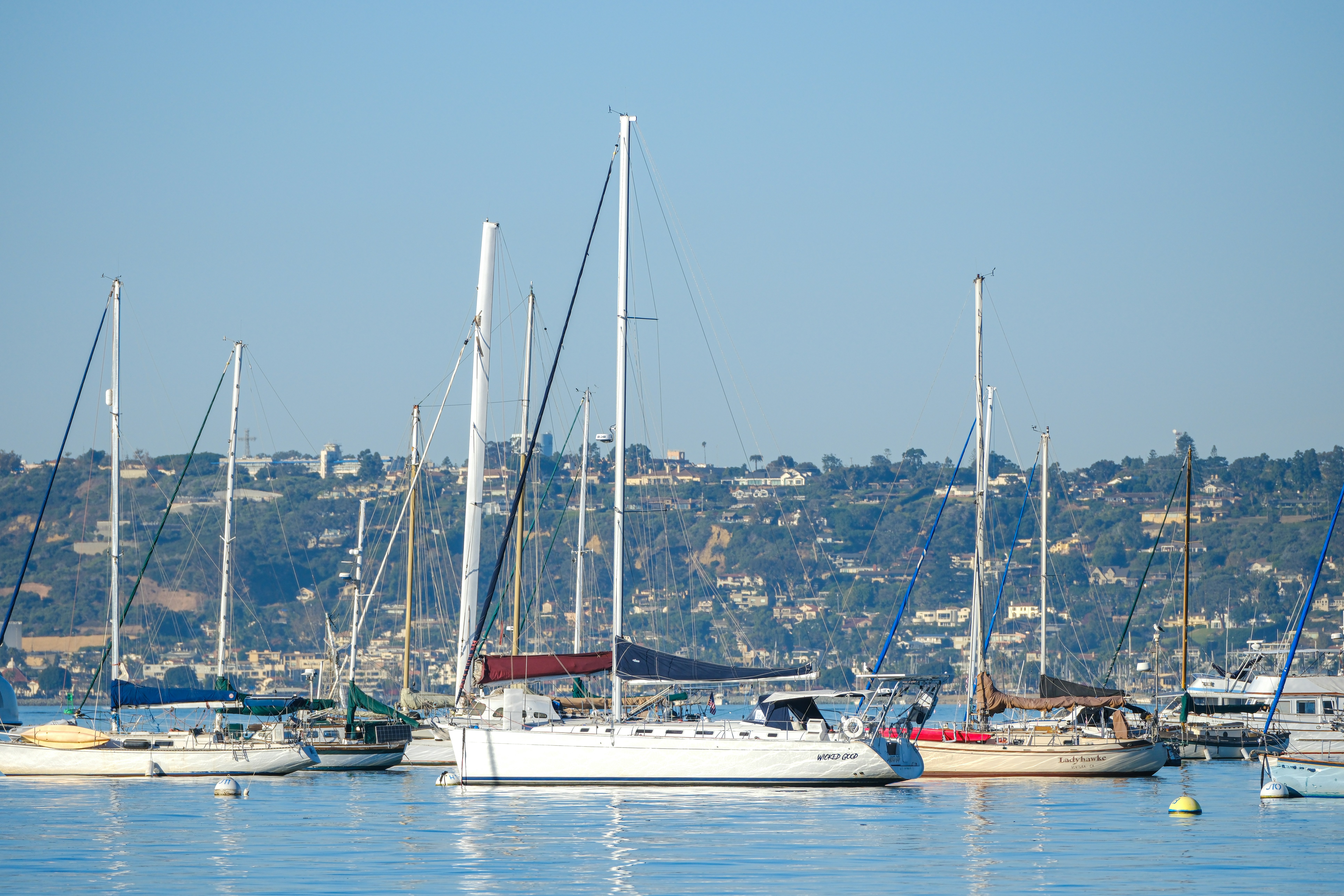 Photo by cestmoisheedy