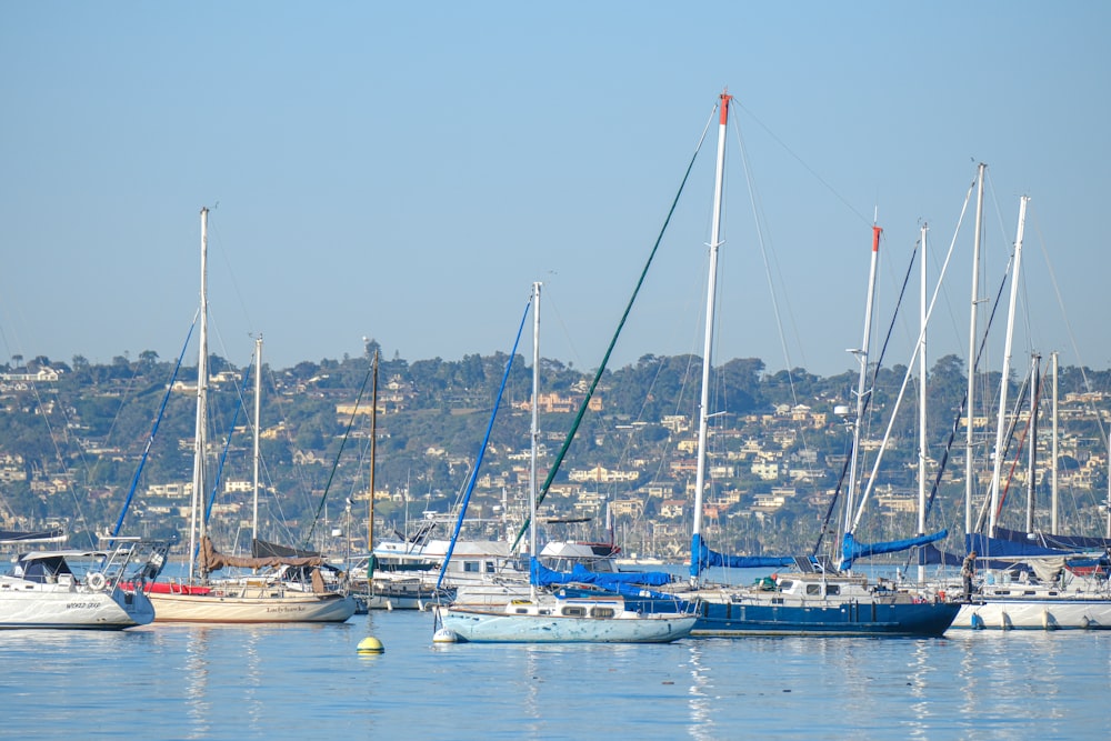 a group of boats floating on top of a body of water