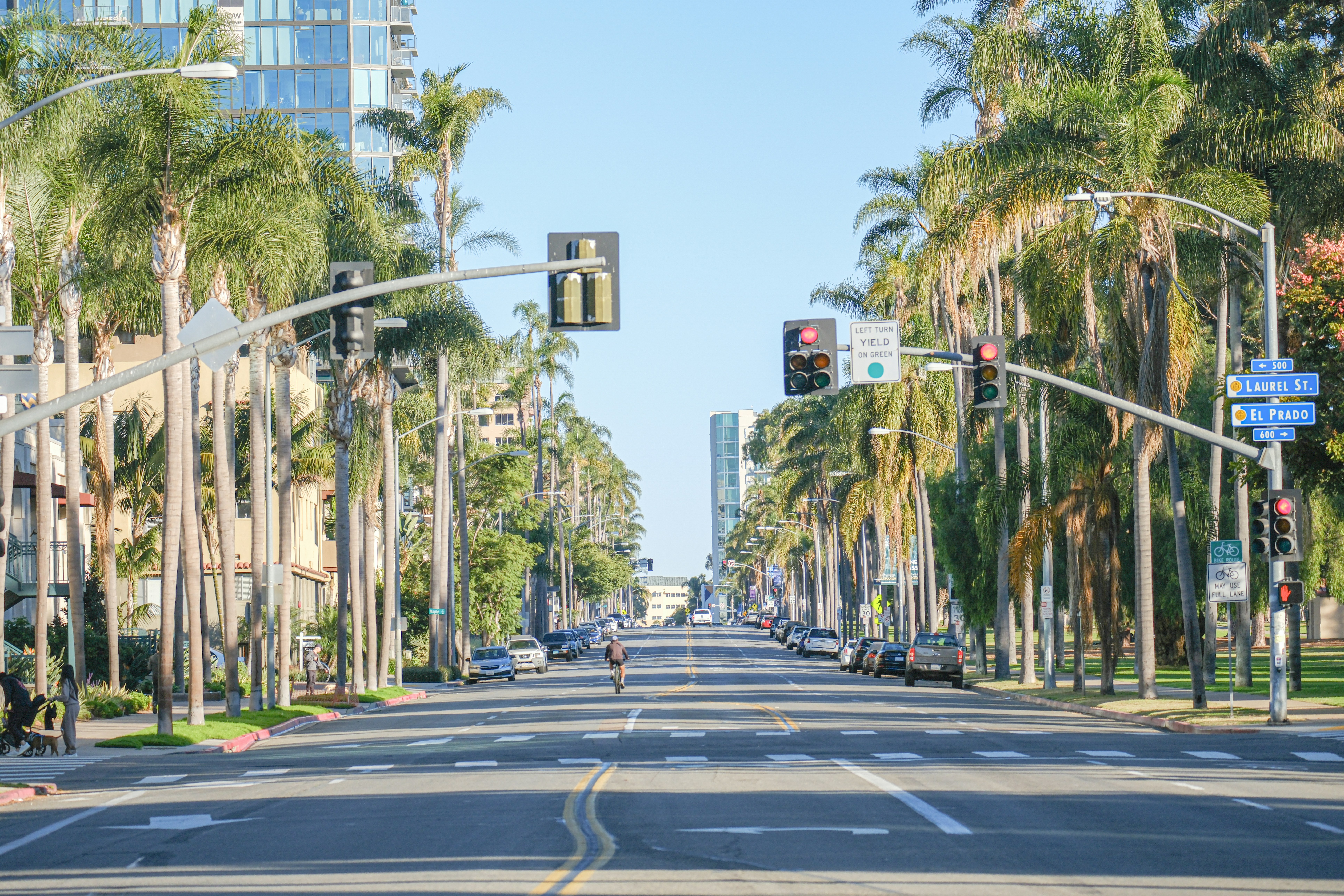 a street lined with palm trees and tall buildings