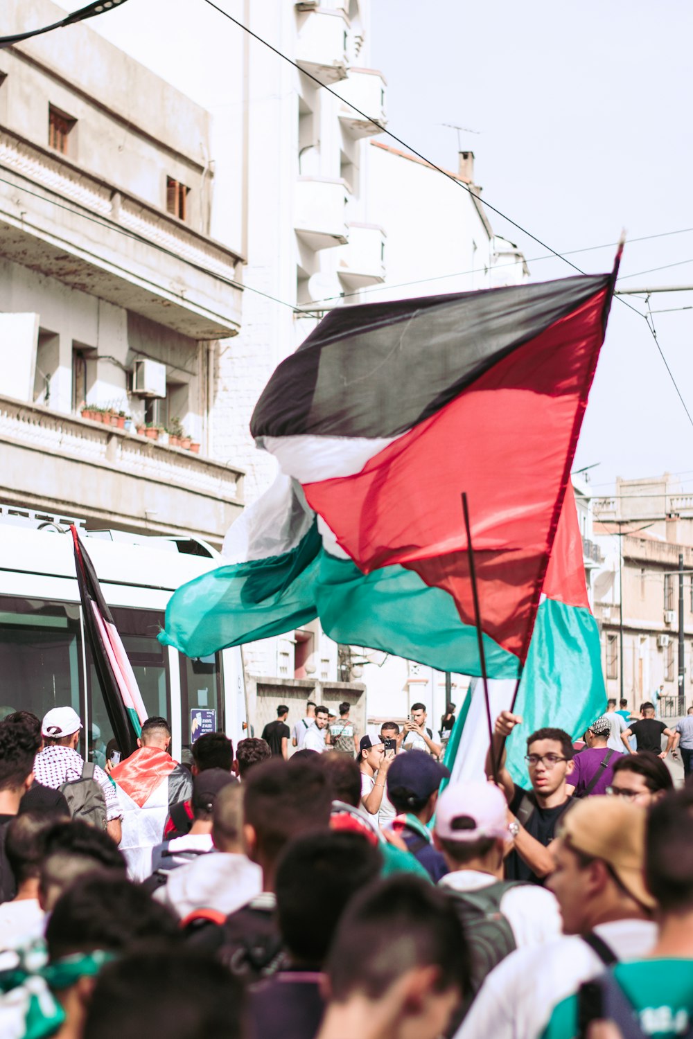 a large group of people holding flags in the street