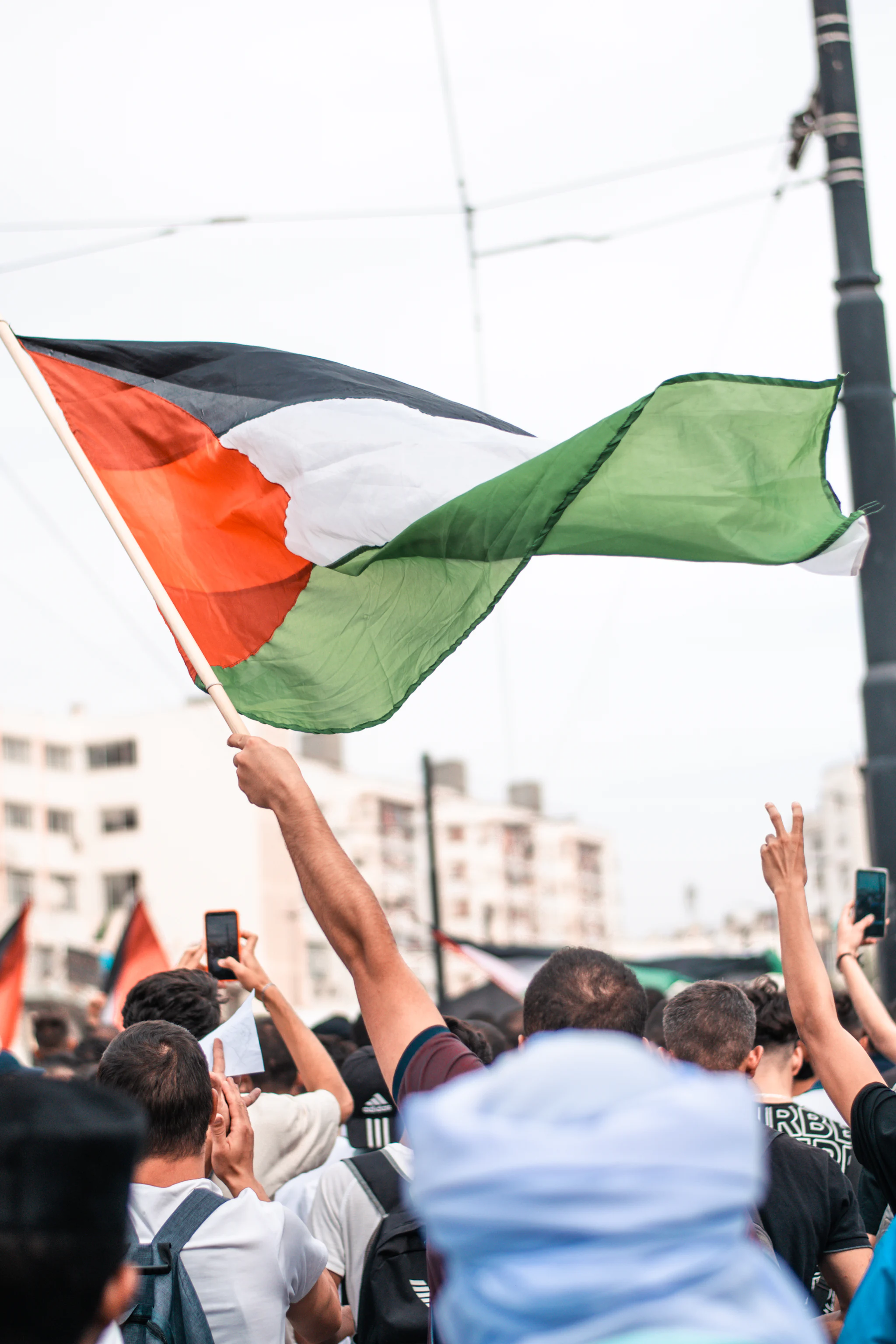 A hand holds a Palestinian flag high above a crowd