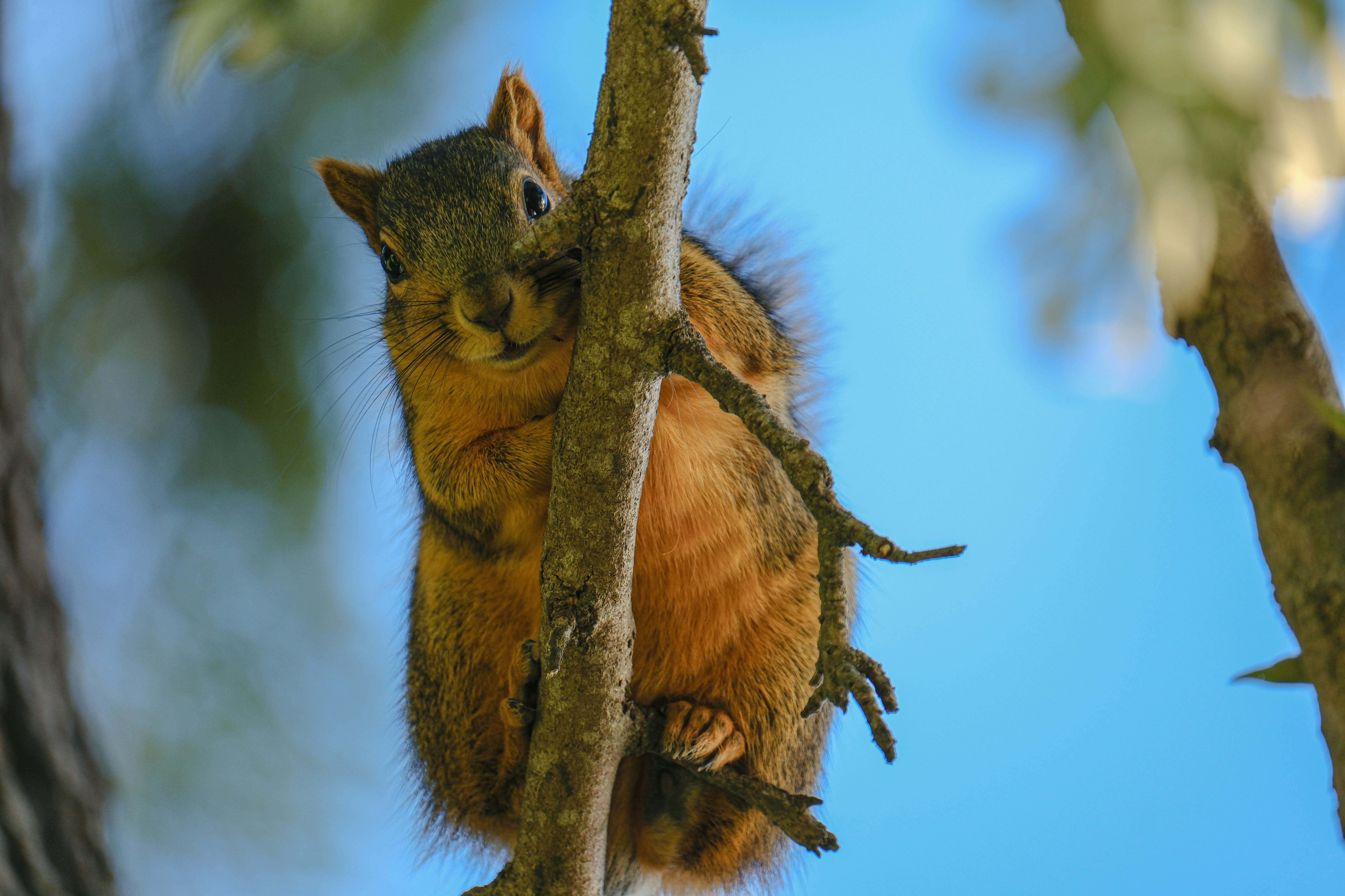 Photo by cestmoisheedy