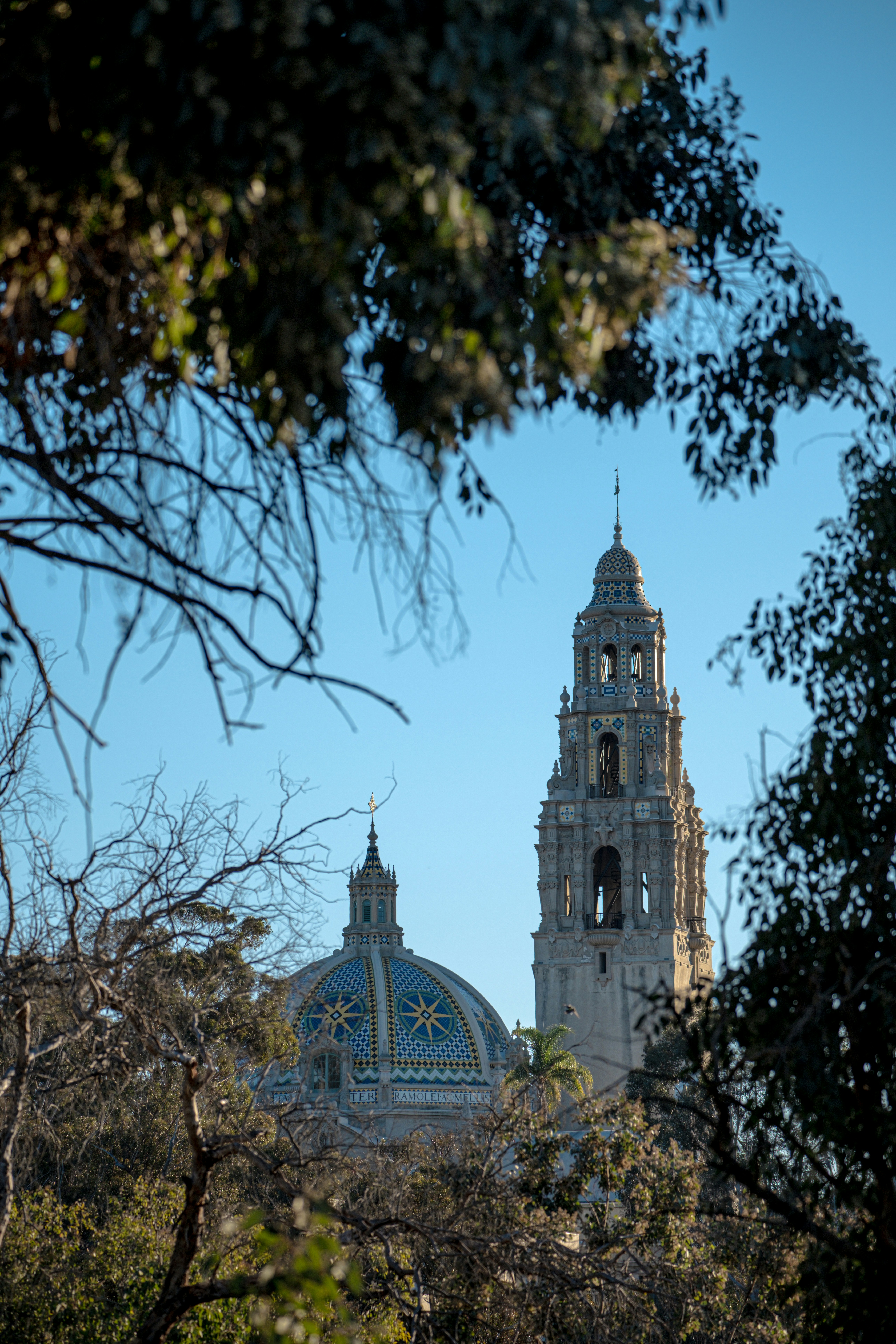 Photo by cestmoisheedy