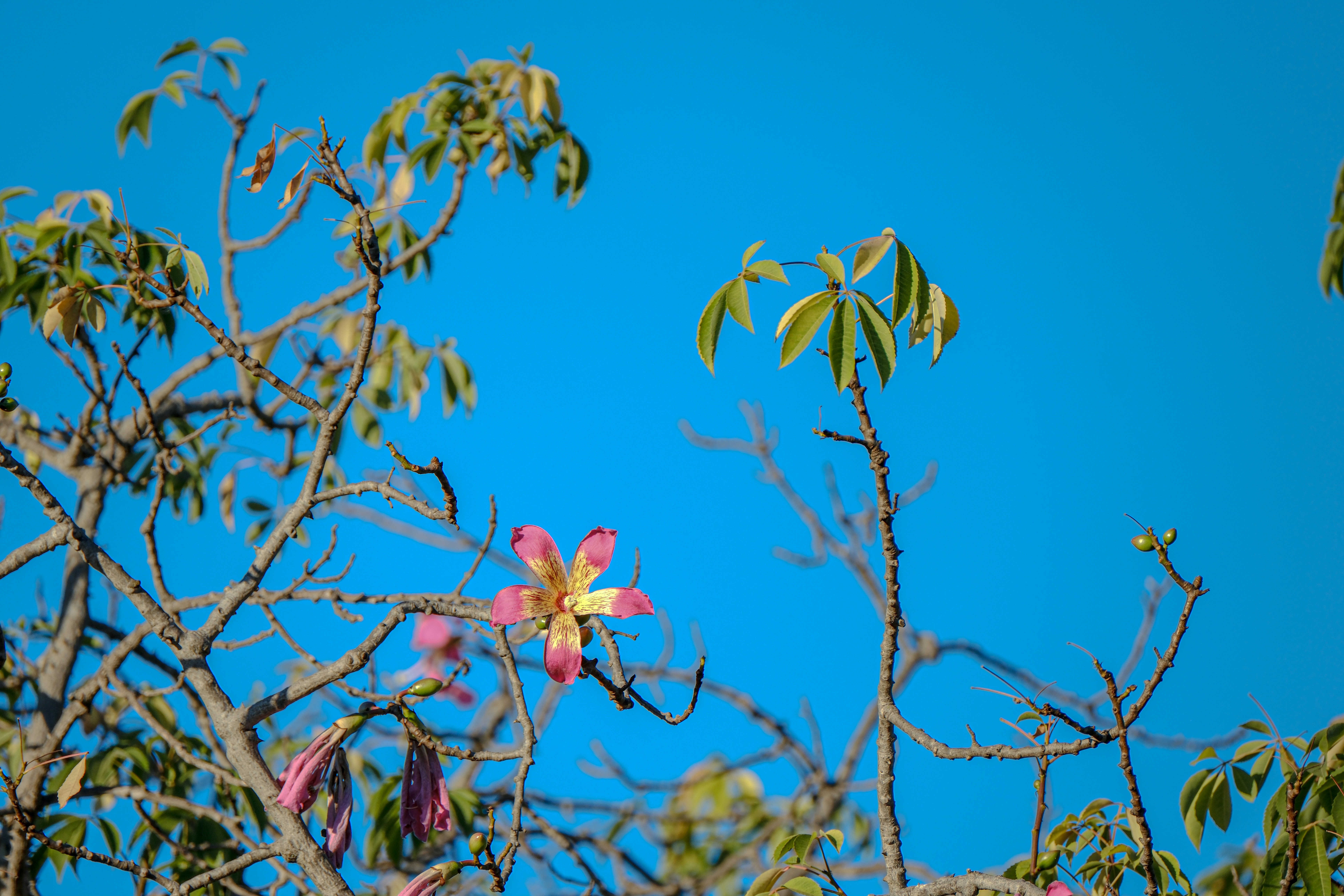 Photo by cestmoisheedy