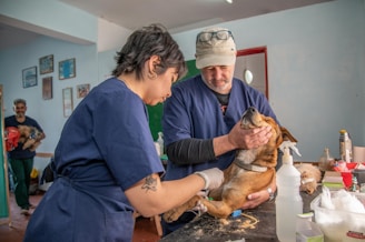 a man and a woman holding a dog in a room