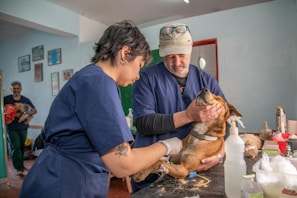 a man and a woman holding a dog in a room