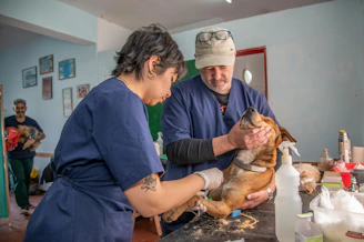 a man and a woman holding a dog in a room