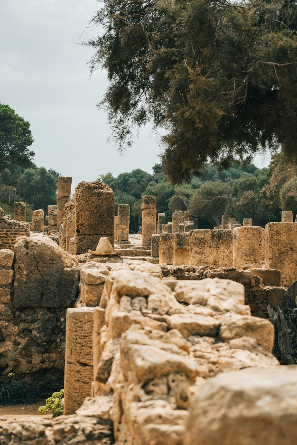 Las ruinas de la antigua ciudad de Éfes