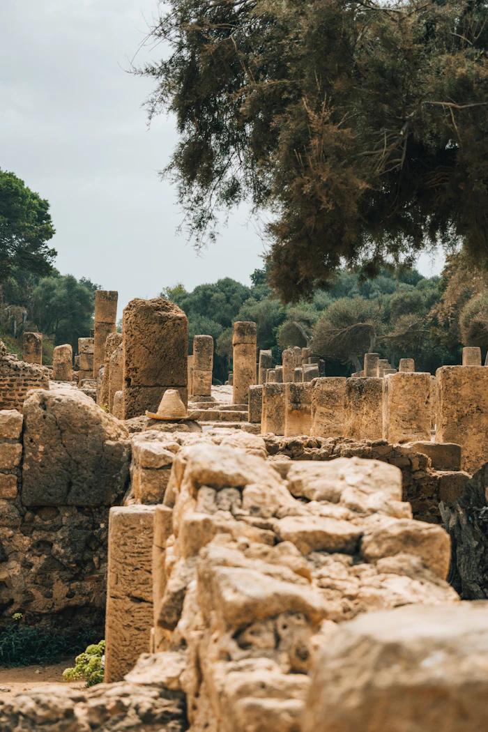 Algiers the White: from the Ottoman Casbah to Roman Tipaza - SEFAR Aventure Algeria