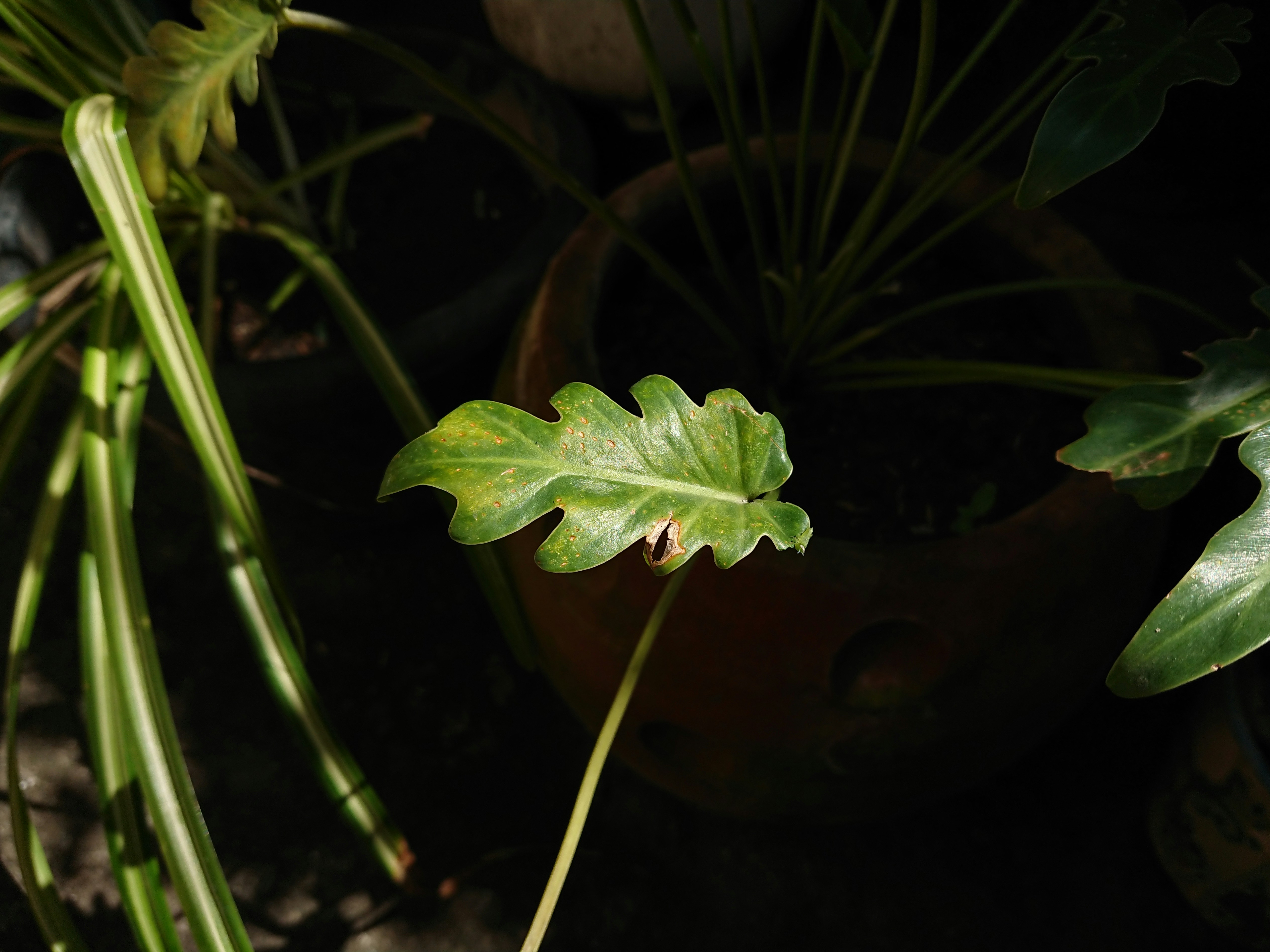 Hijab Beauty Tech in 2026: Smart Fabrics, Authentic Claims, and Navigating Mega‑Sale Hype