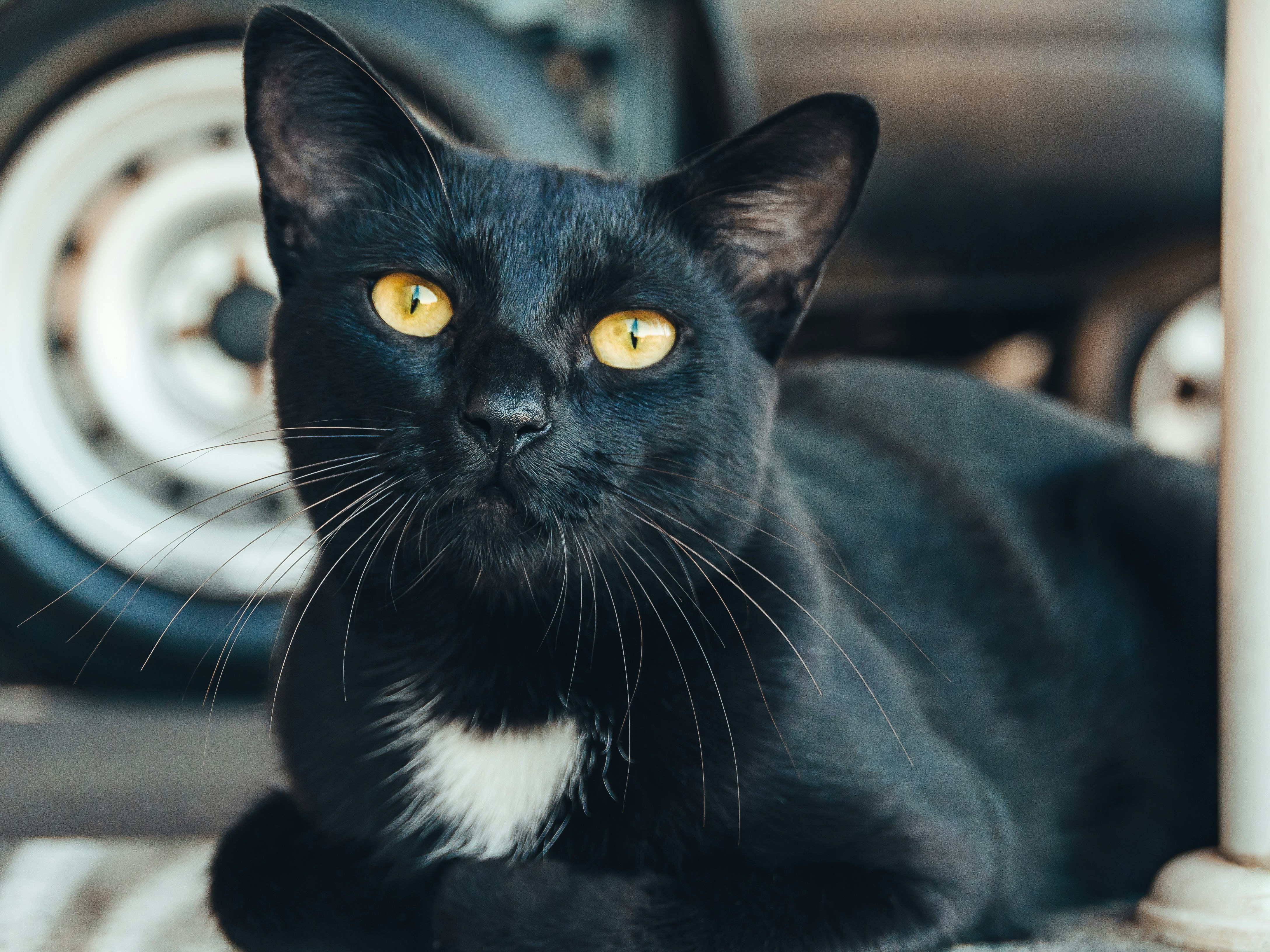 Photo by antoninovisalli