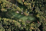 Aerial view of a lush, green golf course surrounded by dense forest. Pathways wind through the trees, leading to golf greens and sand bunkers. The forest displays a mix of vibrant green and autumn colors, adding a picturesque contrast to the carefully maintained fairways.