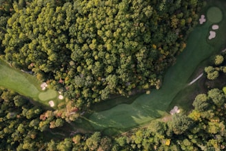 A panoramic view of a golf fairway surrounded by trees.
