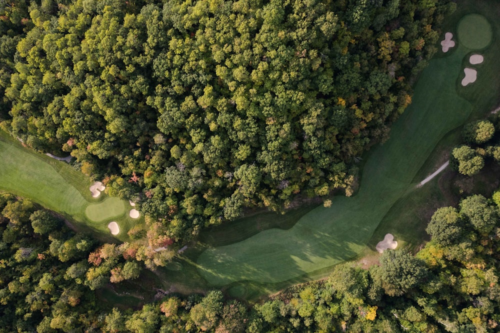 an aerial view of a golf course surrounded by trees