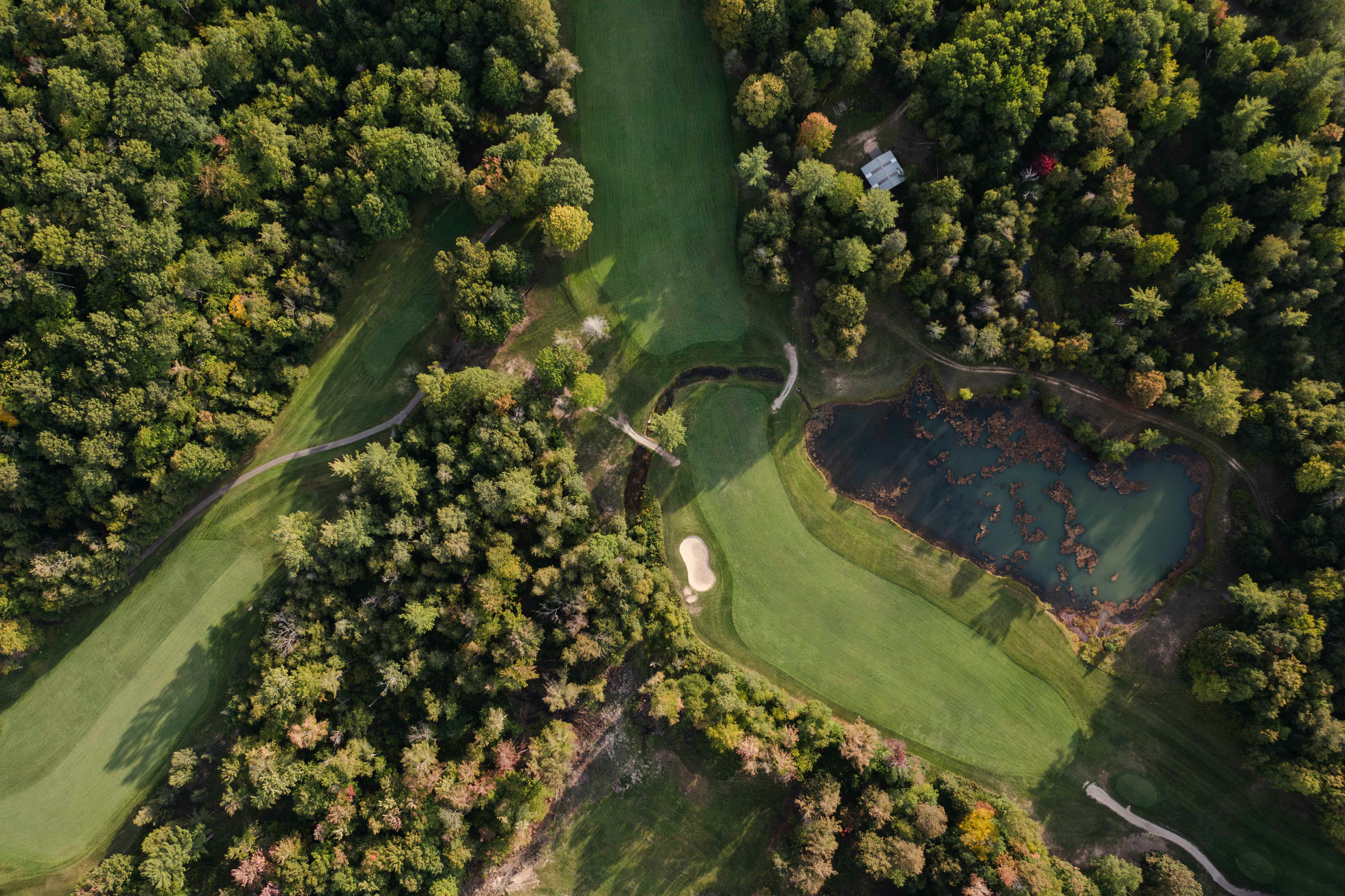 An aerial view of a golf course surrounded by trees photo Free Bellaire Image on Unsplash