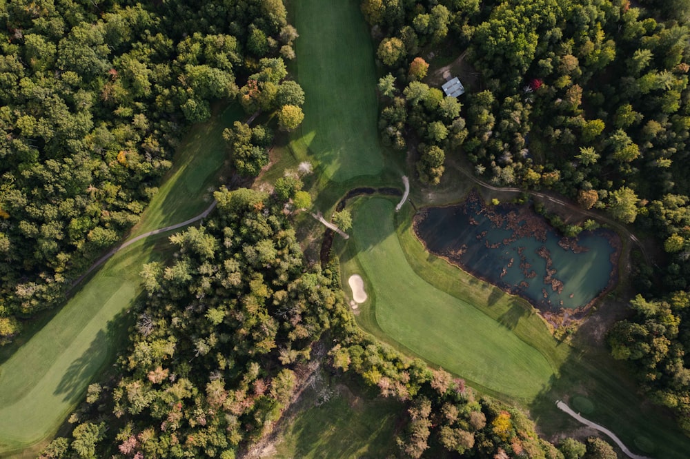 an aerial view of a golf course surrounded by trees