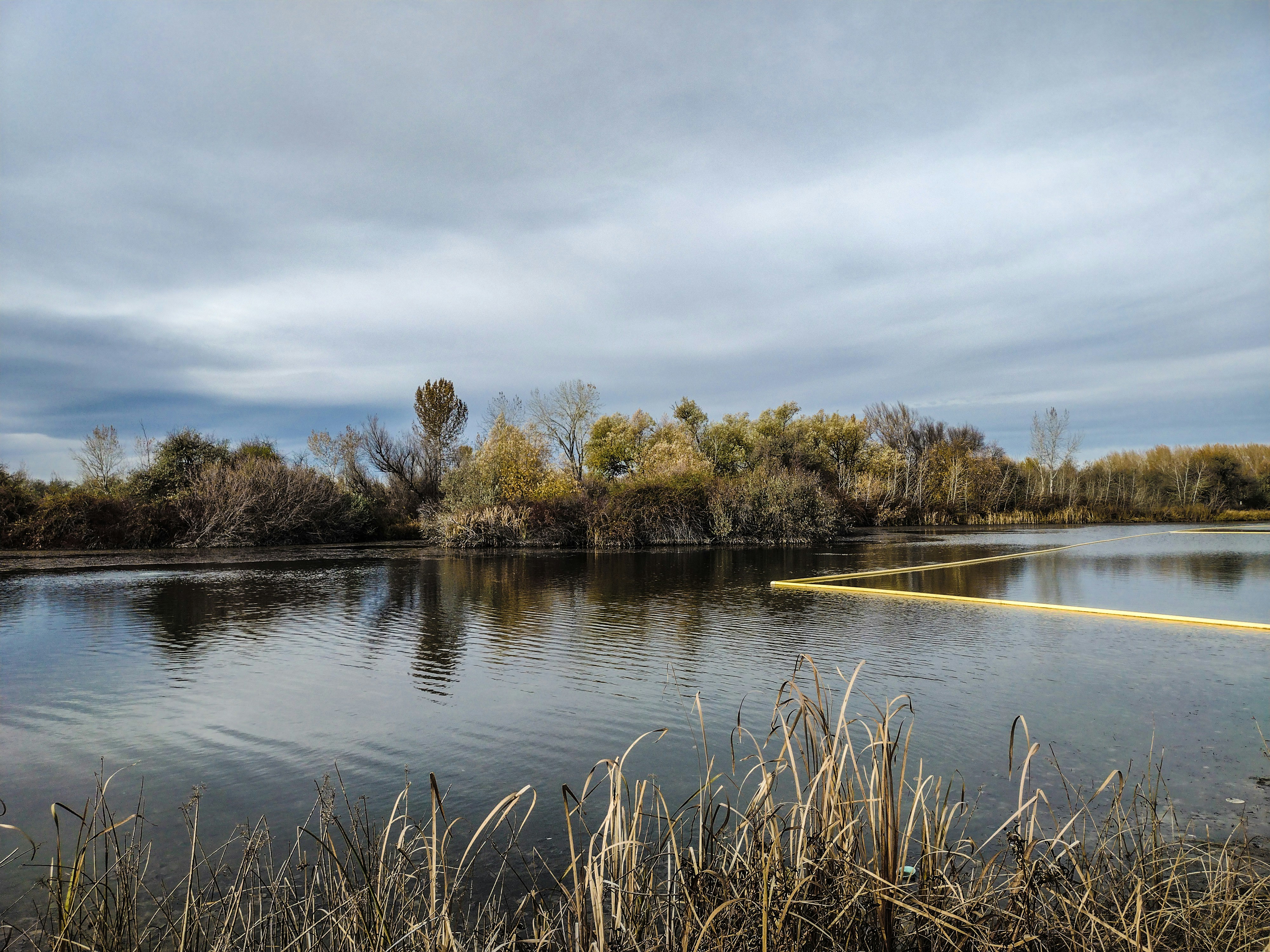 a large body of water surrounded by trees