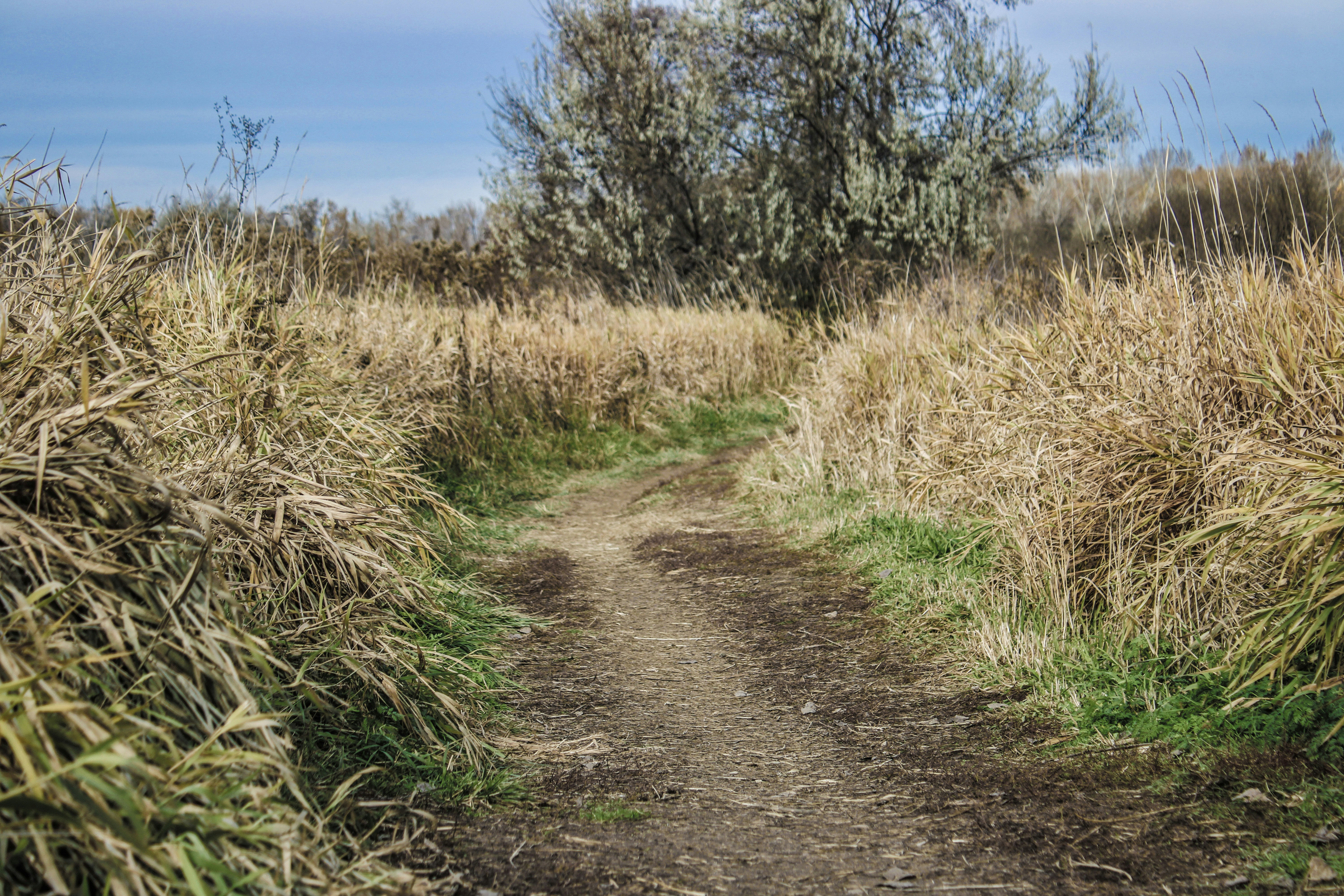 Photo by prphotography262