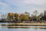 A group of friends jogging together on a forest trail during autumn