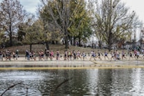 A large group of people is participating in a running event along a sandy path by the edge of a water body, surrounded by trees with autumn foliage. The participants appear to be in a race or marathon, with some spectators watching. The scene is set in a natural environment with overcast skies.