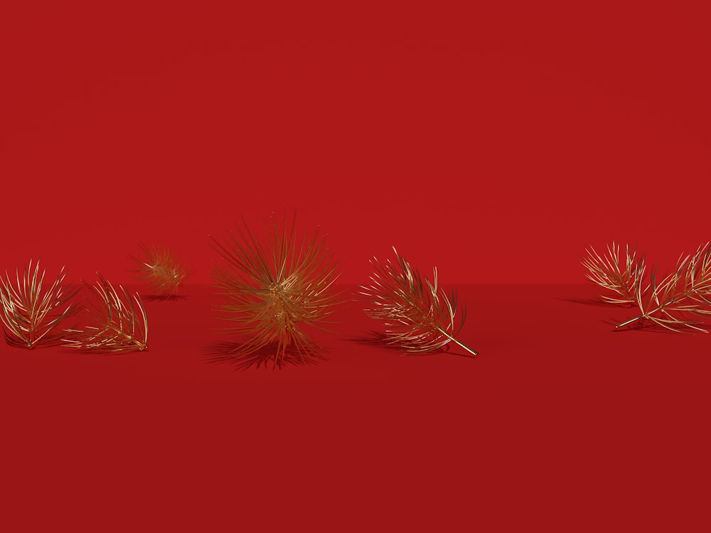 a group of small plants on a red surface